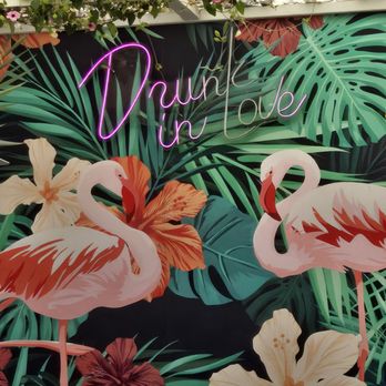 Flamingo Deck - New American Near Me - San Diego, California