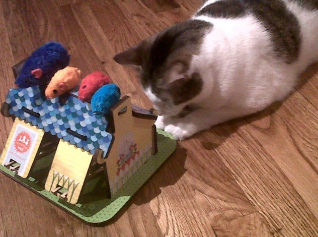 Inner Loop Pet Sitting - pet boarding facility in Houston, TX