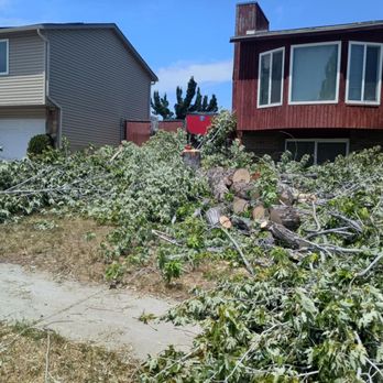Mountain Man Junk Solutions - Junk Removal & Hauling Near Me - Salt Lake City, Utah