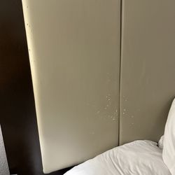 La Quinta by Wyndham Hattiesburg - I-59 - Dog claw marks