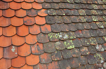 Slide of Joe Moore Painting & Roofing