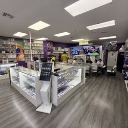 PokeNola Collectibles