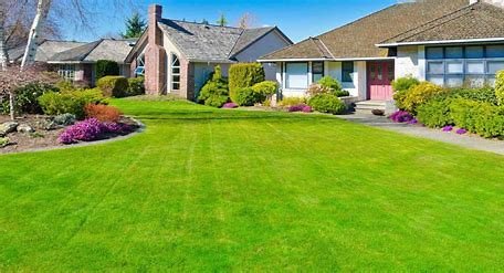 Red Rock Lawn Care - veterans service organization in Flowood, MS