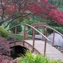 Photo of Schedel Arboretum & Gardens