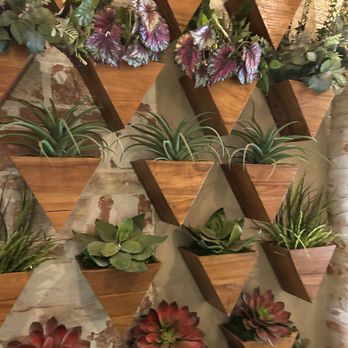 Green Goat Cafe Bar - Living wall - Coffee & Tea Near Me - Cleveland, Ohio