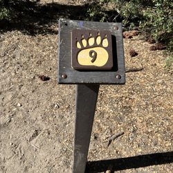 Big Bear Lake Woodland Trail - #9