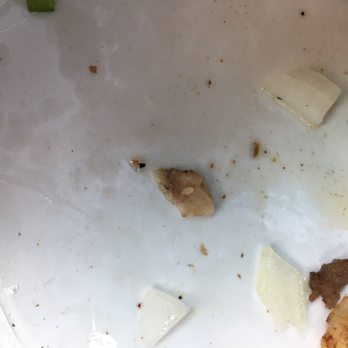 Taqueria Las Aguilas - Little surprise bone shard. - Mexican Near Me - Houston, Texas Taqueria Las Aguilas - Little surprise bone shard. - Mexican Near Me - Houston, Texas