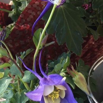 RV Nursery - Very unique flowers! - Nurseries & Gardening Near Me - Buena Park, California RV Nursery - Very unique flowers! - Nurseries & Gardening Near Me - Buena Park, California