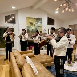 Mariachi Amor