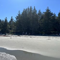 Taylor Head Beach - Taylor's Head Beach