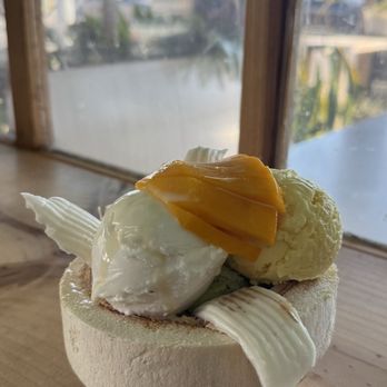 Coco Bomb - Coconut Sundae - Cafes Near Me - San Diego, California