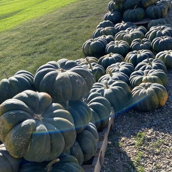 The Patch - Santa Maria - Pumpkin Patches Near Me - Santa Maria, California
