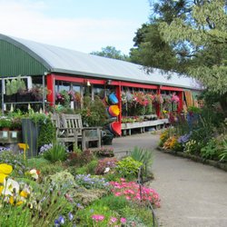Murphy & Wood Garden Centre - Murphy & Wood Garden Centre, Garden Centre, Dublin