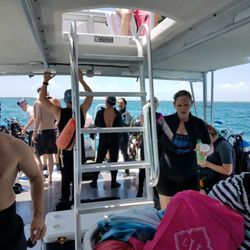 Florida Sun Transport - Took our group excursion to Islamorada,  FL for Snorkeling & Scuba Dive tour on Memorial weekend. Great trip on Islamorada Dive Center.