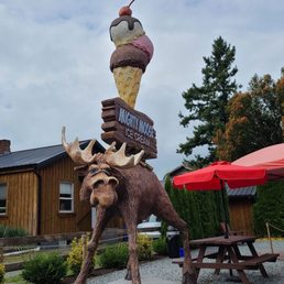 Friendly Moose ;-) Friendly Moose ;-)