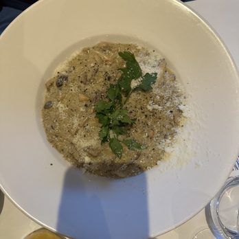 Amerigo Vespucci - Mushroom something - Italian Near Me - London, XGL Amerigo Vespucci - Mushroom something - Italian Near Me - London, XGL