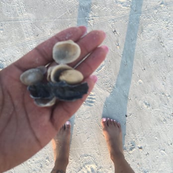 Neptune Beach - Shells - Beaches Near Me - Neptune Beach, Florida