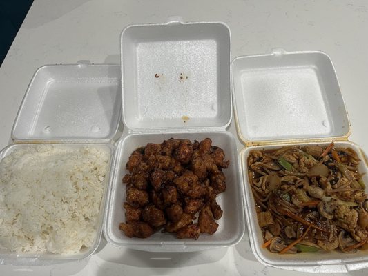 Bamboo House by null