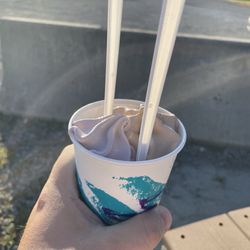Young's Custard Stand & Grill
