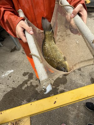 Royal Botanical Gardens by null