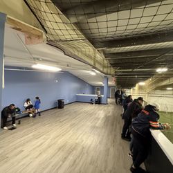Arena 41