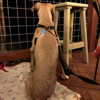 Brick's River Cafe - Dog friendly - American Near Me - Bandera, Texas Brick's River Cafe - Dog friendly - American Near Me - Bandera, Texas
