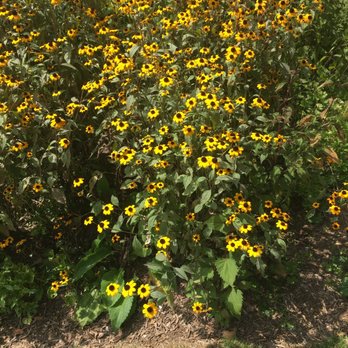 New Jersey Botanical Garden - Parks Near Me - Ringwood, New Jersey