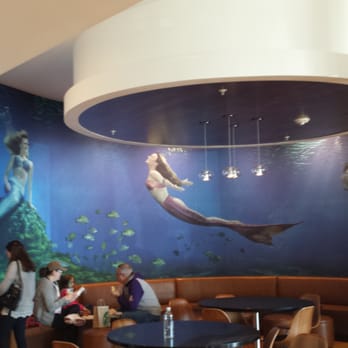 Starbucks - Sitting area - Coffee & Tea Near Me - Orlando, Florida Starbucks - Sitting area - Coffee & Tea Near Me - Orlando, Florida