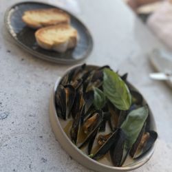 Latitude 28 - Mussels