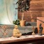 Photo of New Thought Center for Spiritual Living
