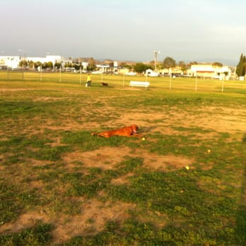Orange Dog Park - Wide open spaces - Dog Parks Near Me - Orange, California Orange Dog Park - Wide open spaces - Dog Parks Near Me - Orange, California