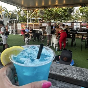 The Dog Bar - Sports Bars Near Me - St. Petersburg, Florida The Dog Bar - Sports Bars Near Me - St. Petersburg, Florida