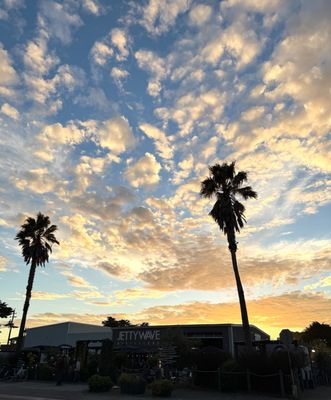 Jettywave Distillery by null