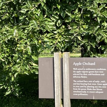 Chicago Botanic Garden - Apple orchard - Botanical Gardens Near Me - Glencoe, Illinois Chicago Botanic Garden - Apple orchard - Botanical Gardens Near Me - Glencoe, Illinois