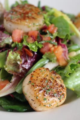 Francesca's on 95th by null