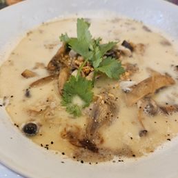Yummy creamy pho soup broth combined with a generous offering of mushrooms and chicken Yummy creamy pho soup broth combined with a generous offering of mushrooms and chicken