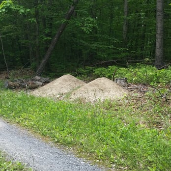 Little Bennett Regional Park - Said ant mounds - Parks Near Me - Clarksburg, Maryland