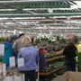 Photo of Valley Farms