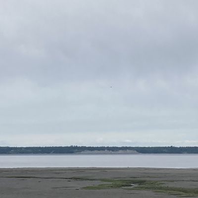 Tony Knowles Coastal Trail by null