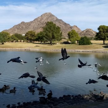 Granada Park - The duck pond in the park, with Piestewa Peak in the background. - Parks Near Me - Phoenix, Arizona