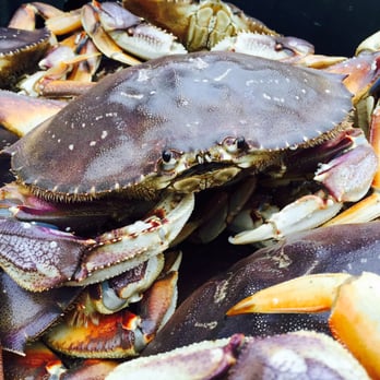 Black Rock Seafood - Seafood Markets Near Me - Anacortes, Washington Black Rock Seafood - Seafood Markets Near Me - Anacortes, Washington