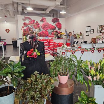 Luxe Stems - Florists Near Me - Frisco, Texas