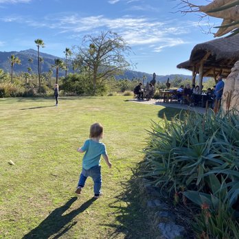 Watering Hole - Grassy overlook to watch the animals - American Near Me - Escondido, California Watering Hole - Grassy overlook to watch the animals - American Near Me - Escondido, California