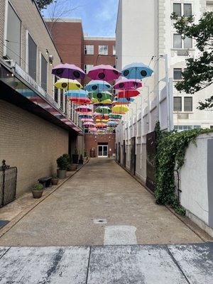 Easy Bistro & Bar by null