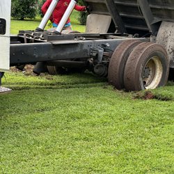 Georgia Wholesale Nursery