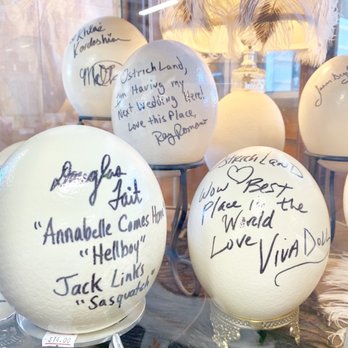 Ostrichland USA - Signed Ostrich eggs - Attraction Farms Near Me - Solvang, California Ostrichland USA - Signed Ostrich eggs - Attraction Farms Near Me - Solvang, California