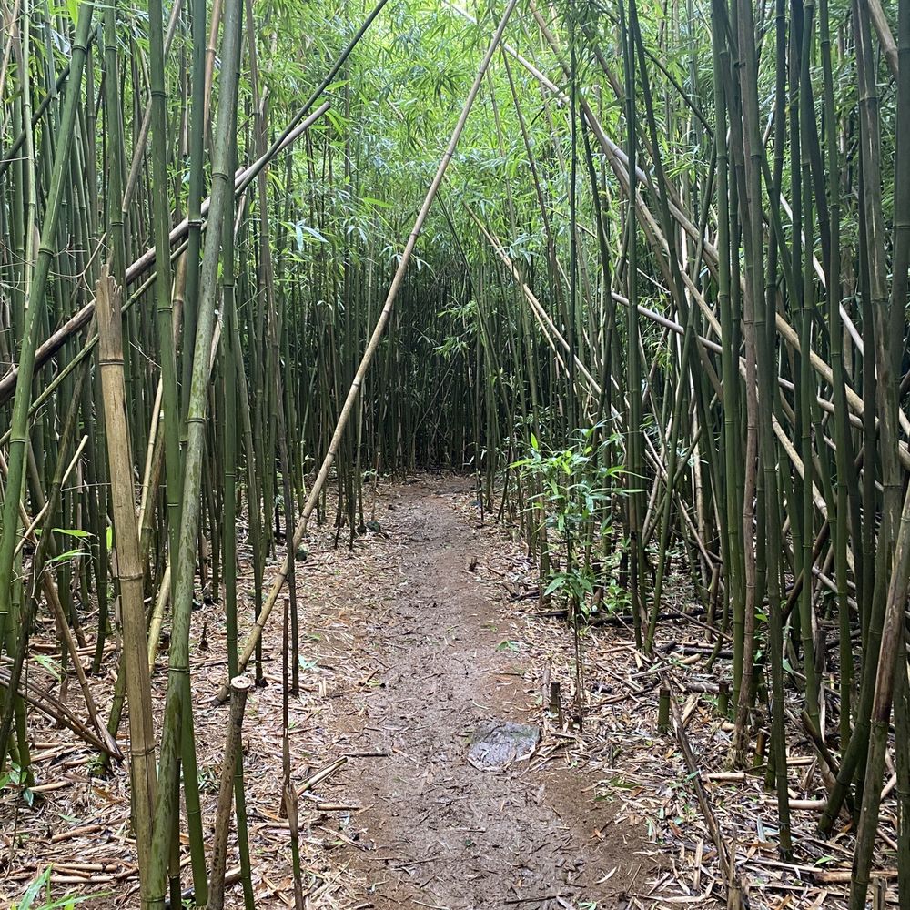 Lulumahu Falls - Hiking Near Me - Honolulu, Hawaii Lulumahu Falls - Hiking Near Me - Honolulu, Hawaii