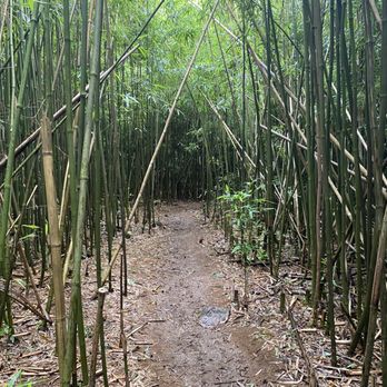 Lulumahu Falls - Hiking Near Me - Honolulu, Hawaii Lulumahu Falls - Hiking Near Me - Honolulu, Hawaii