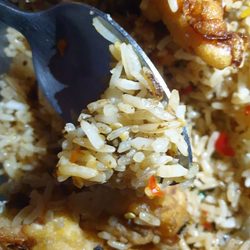 Lyton Chinese Restaurant - The rice itself was also really burnt and I did not want to eat it