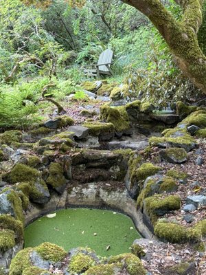 Milner Gardens & Woodland - Vancouver Island University by null